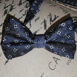 Ted Baker Bow Tie - 100% Mulberry Silk